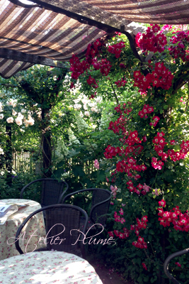 Le Jardin Secret 〜秘密の花園〜_e0154202_22105558.jpg