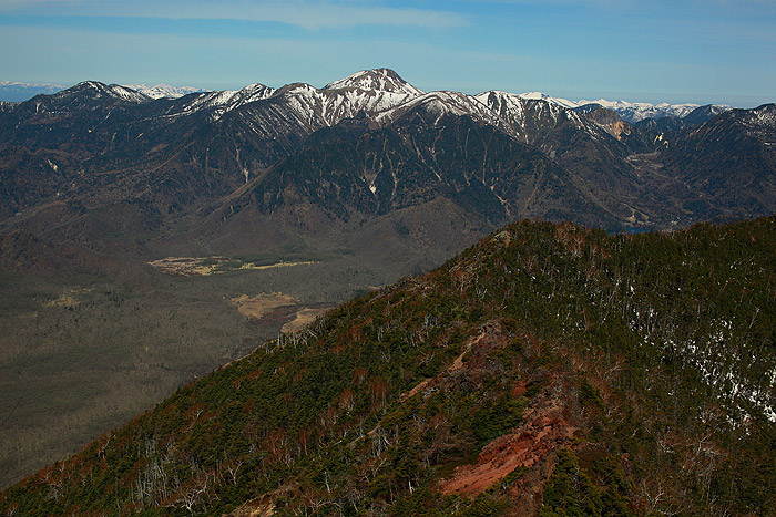 a0148606_17255514.jpg