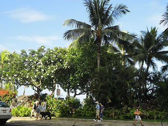 e0230011_1733342.jpg