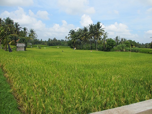 d0224712_1129090.jpg