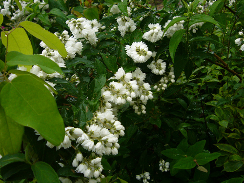 f0207213_19311433.jpg