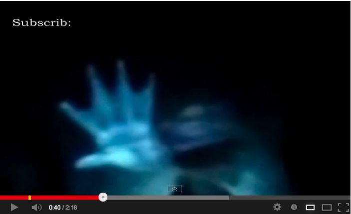 人魚の新たなる証拠「Mermaid New Evidence」：あの二人がテレビに登場！？_e0171614_13291654.jpg