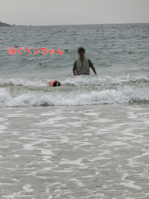 a0232619_11471933.png