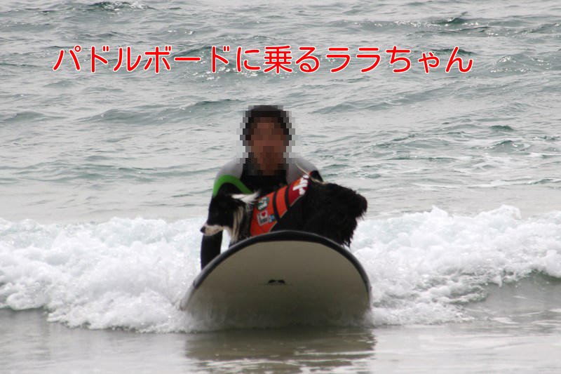 a0232619_11523148.png