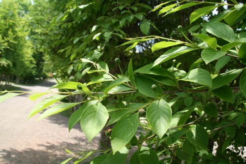 b0174425_137458.jpg