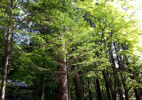 b0075429_8221581.jpg