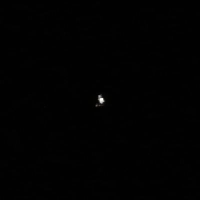 e0089232_2021555.jpg