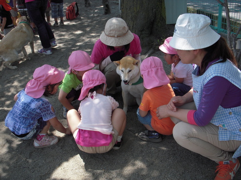 セラピー活動（竜王中央保育園）_c0114833_0443629.jpg