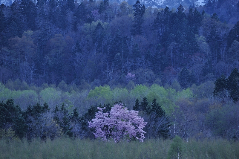 風景写真 ワークショップのお知らせ_f0050534_15374667.jpg