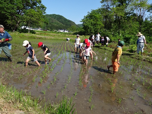 田植え_a0266035_16185767.jpg