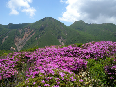 南西尾根コースから大船山～立中山～白口岳～鳴子山を歩く！_e0272335_1058183.jpg