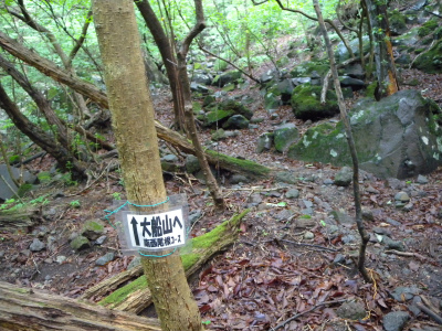 南西尾根コースから大船山～立中山～白口岳～鳴子山を歩く！_e0272335_948916.jpg