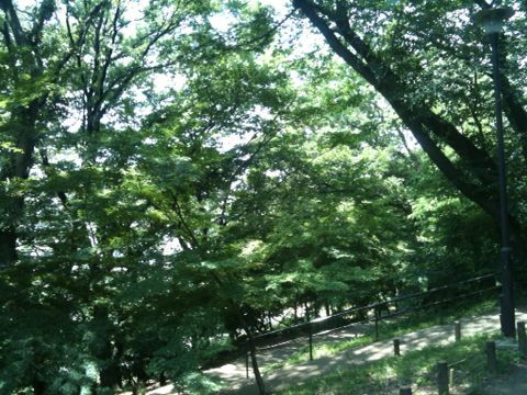 戸山公園(6月5日)_e0213636_1438588.jpg