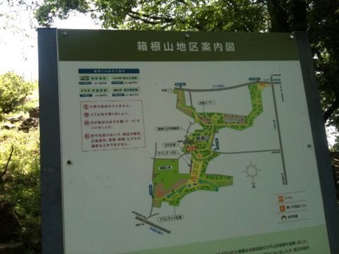 戸山公園(6月5日)_e0213636_14555556.jpg