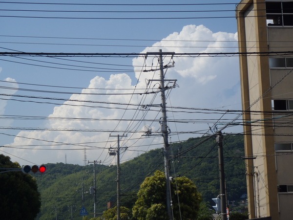 a0054240_29522.jpg