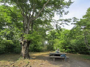 e0110940_21552433.jpg