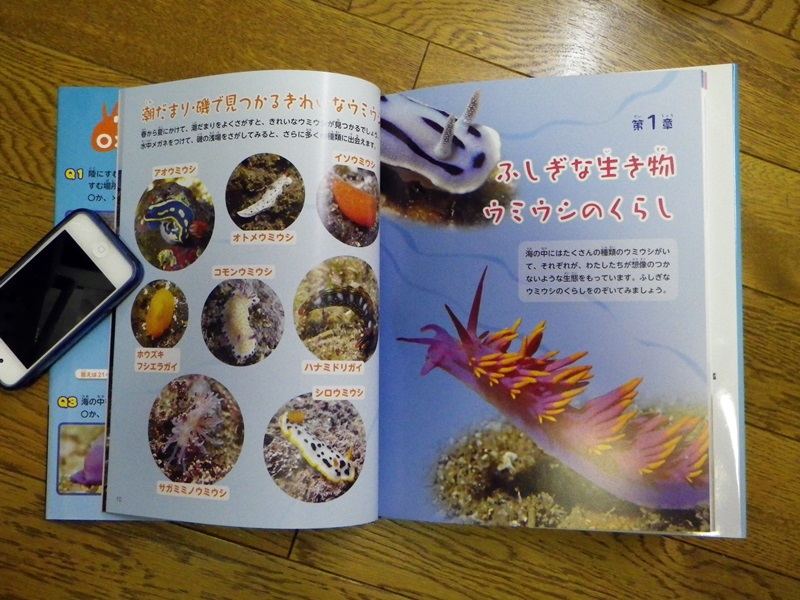 児童向けウミウシ図鑑 ウミウシ大研究 写真提供 Kouchaとpawのウミウシ探索隊 主に三浦半島の海 磯観察日記