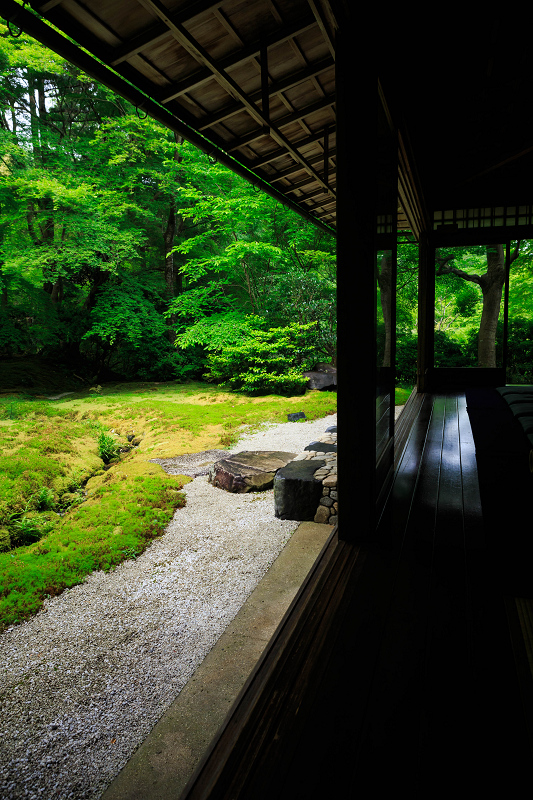 緑輝く瑠璃光院（後編）_f0155048_2274865.jpg