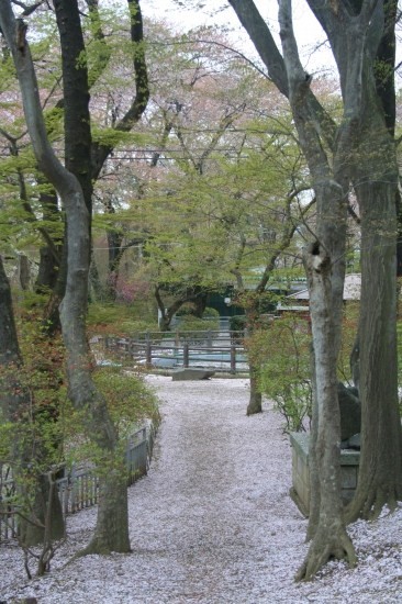 e0126350_924048.jpg