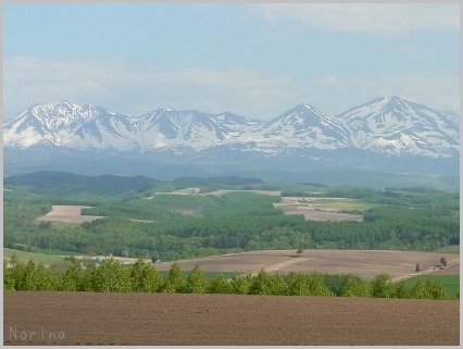 e0326953_21455329.jpg