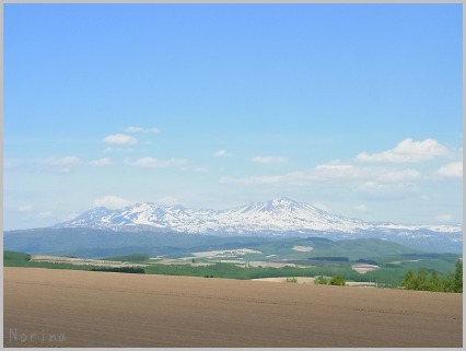 e0326953_2145841.jpg