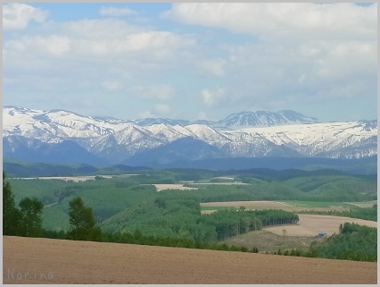 e0326953_21463623.jpg