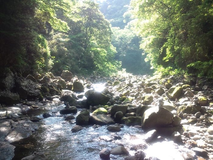 ほんと、すごいわ 2013.6.4_b0002156_123455.jpg
