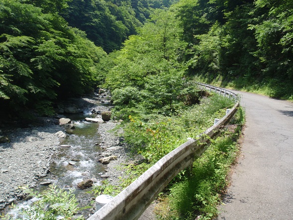 a0242657_23033.jpg