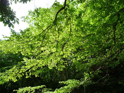 b0165358_024487.jpg