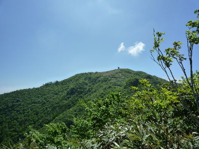 b0165358_028416.jpg