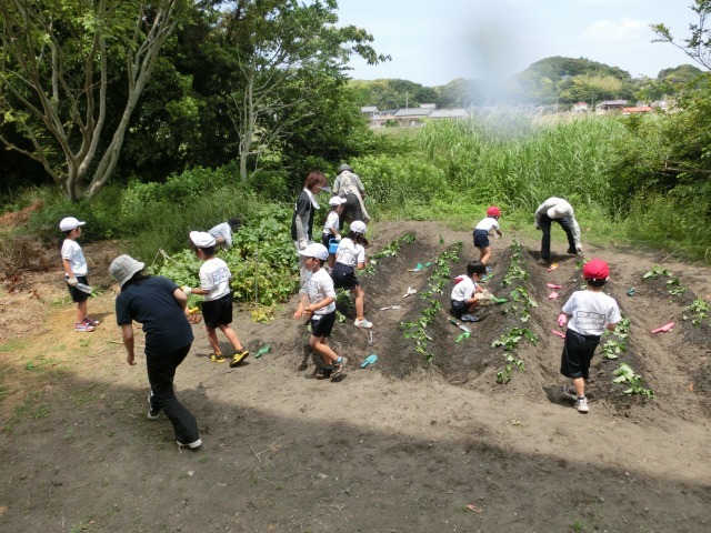 平成２５年６月５日（水）_b0208358_12381056.jpg