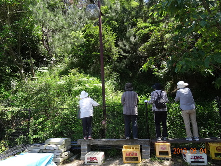 c0108460_86272.jpg
