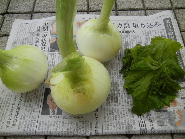’13,6,5(水)愛ちゃんもサの字寝しているよ!_f0060461_1336350.jpg