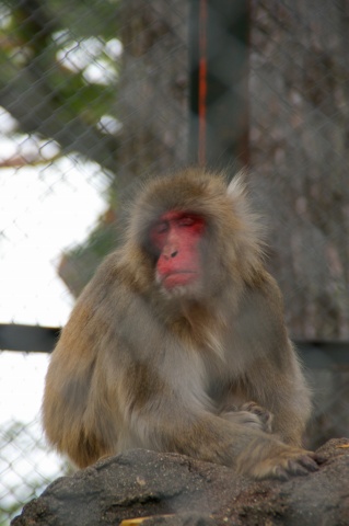 e0045768_2222749.jpg