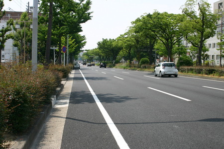 a0181071_16172322.jpg