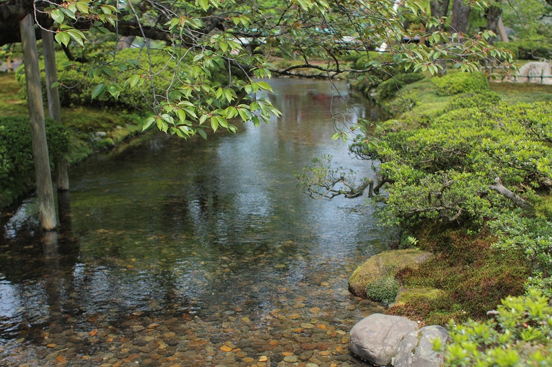 a0169673_9553457.jpg