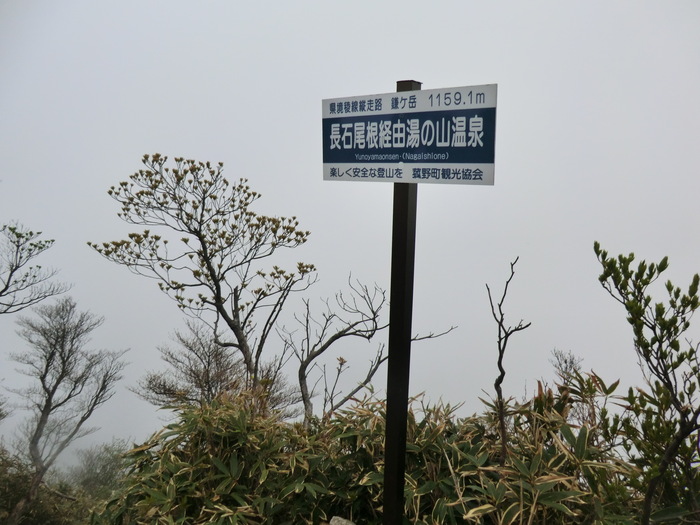 b0185573_15281050.jpg