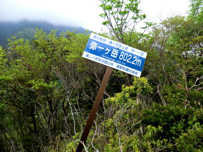 b0185573_154546100.jpg