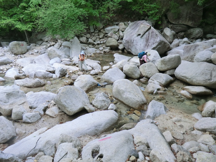 b0185573_155227100.jpg