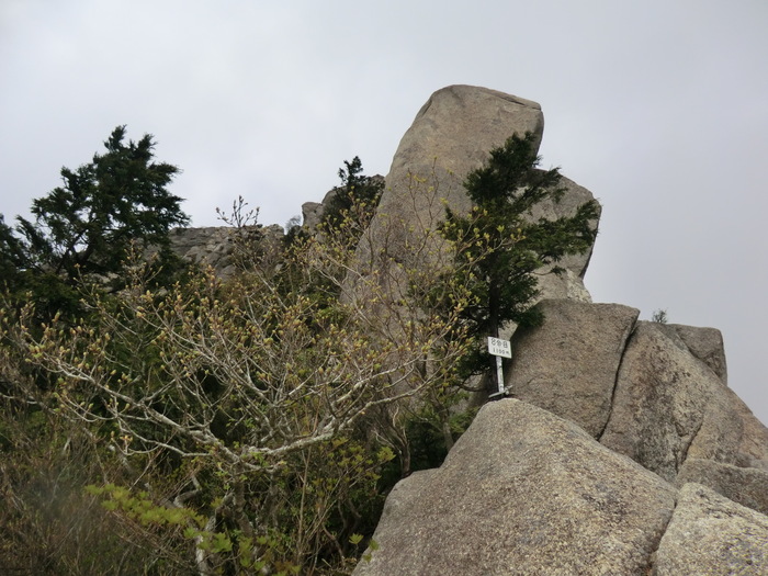 b0185573_732416.jpg
