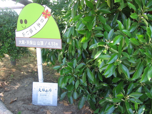 f0259373_1125454.jpg
