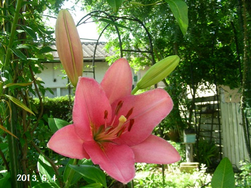 b0096584_20542851.jpg