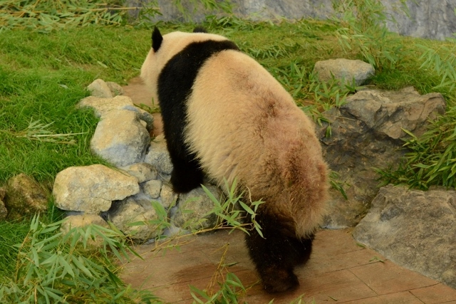 a0052986_720478.jpg