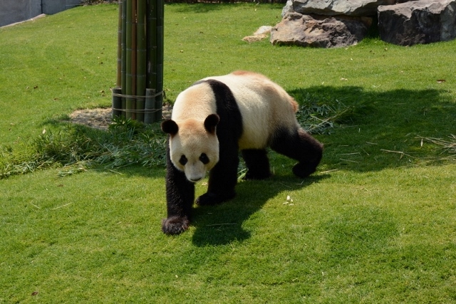 a0052986_7221155.jpg