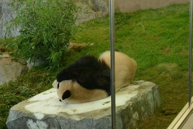 a0052986_7313855.jpg