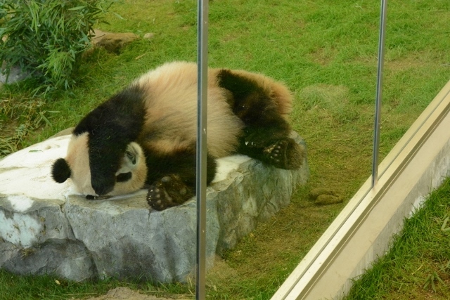 a0052986_7315121.jpg