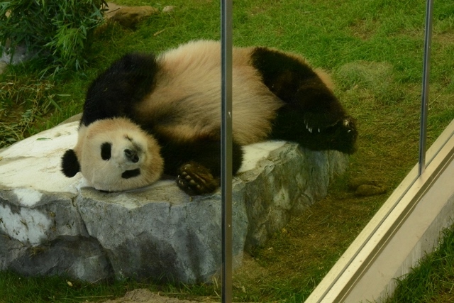 a0052986_7323064.jpg