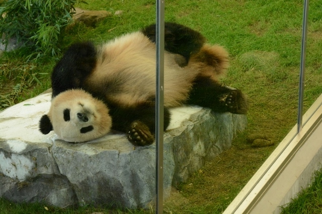 a0052986_732429.jpg