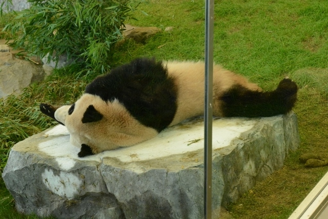 a0052986_7331890.jpg