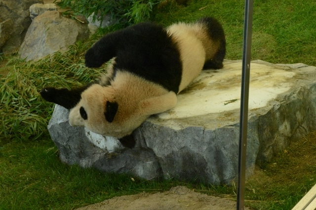 a0052986_7333521.jpg